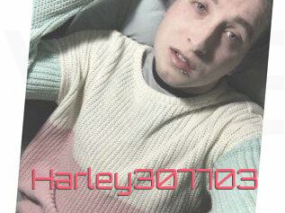 Harley307703