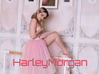 HarleyMorgan