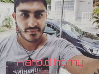 Harold_horny