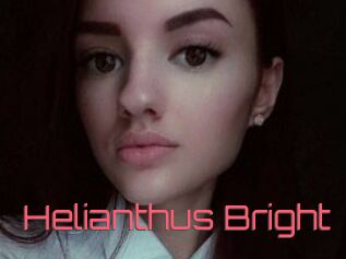 Helianthus_Bright