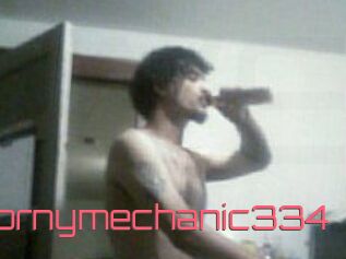 Hornymechanic334