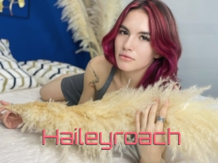 Haileyroach