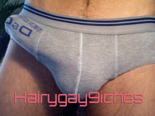 Hairygay9iches
