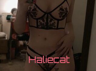 Haliecat