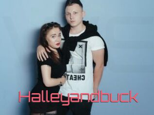 Halleyandbuck