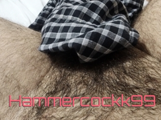 Hammercockk99