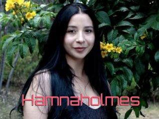 Hamnaholmes