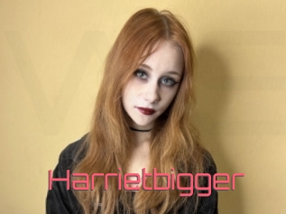 Harrietbigger