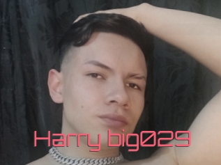 Harry_big029