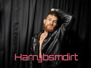 Harrybsmdirt