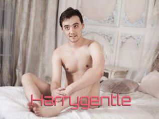 Harrygentle