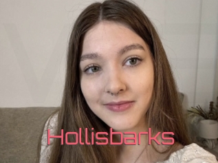 Hollisbarks