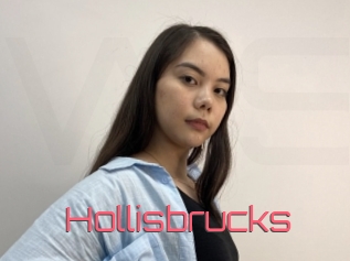 Hollisbrucks