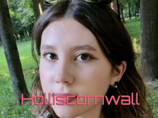 Holliscornwall
