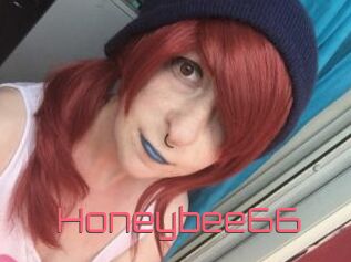 Honeybee66