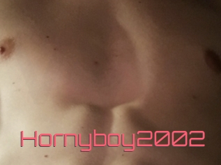 Hornyboy2002