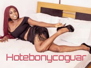 Hotebonycoguar