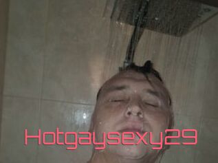 Hotgaysexy29