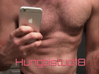Hungbistud18