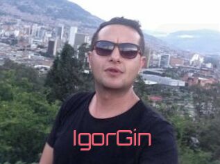 IgorGin