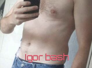 Igor_bash