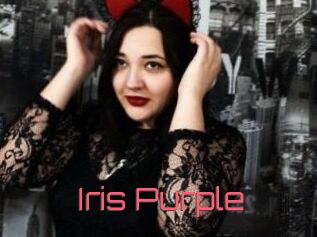 Iris_Purple