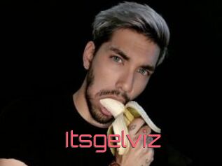 Itsgelviz