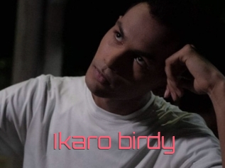 Ikaro_birdy