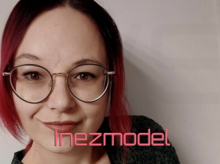 Inezmodel