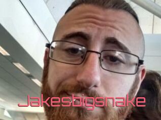 Jakesbigsnake