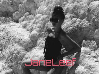 JaneLeef