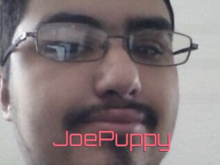 JoePuppy