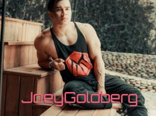 JoeyGoldberg