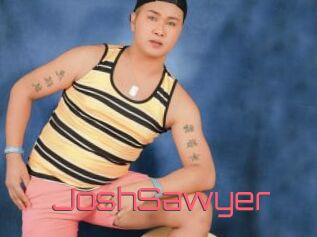 JoshSawyer