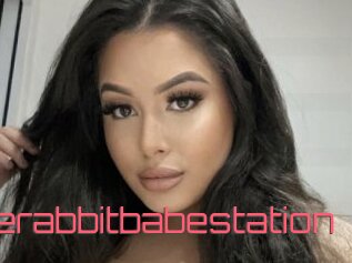 Jaderabbitbabestation