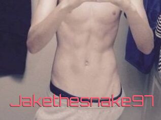 Jakethesnake97