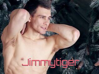 Jimmytiger