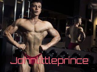 Johnlittleprince