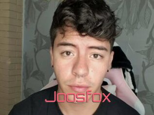 Joosfox