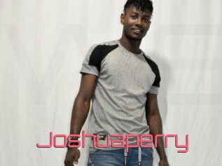 Joshuaperry
