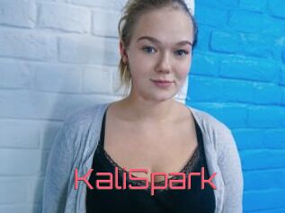 KaliSpark