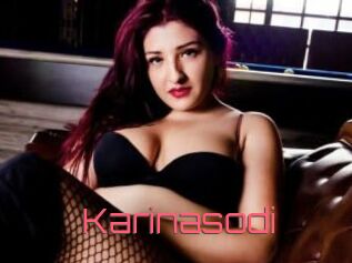 Karinasodi