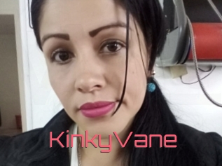 KinkyVane