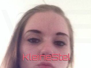 KleineStel