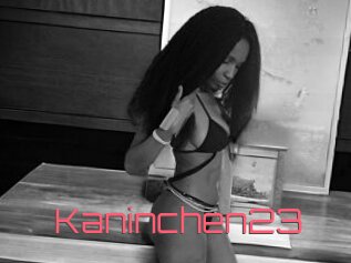 Kaninchen23