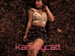 Kanndycatt