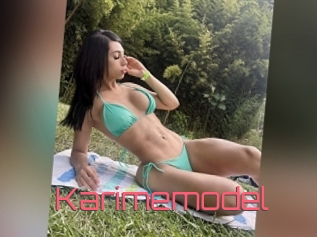 Karimemodel