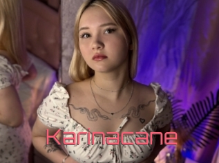 Karinacane
