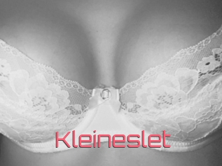 Kleineslet