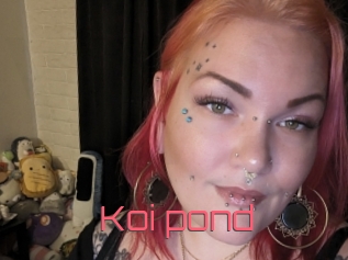 Koi_pond